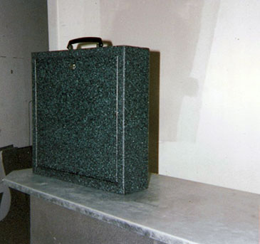 Gun Safety Caset